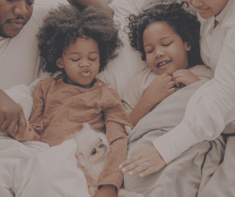 Don’t Forget To Protect Your Furry Family: Estate Planning For Your Pets