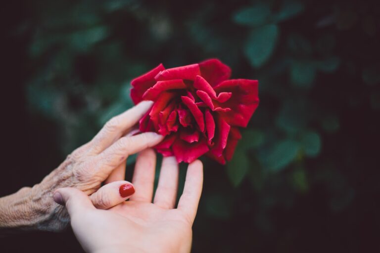 What You Need to Know About Collecting Life Insurance Proceeds