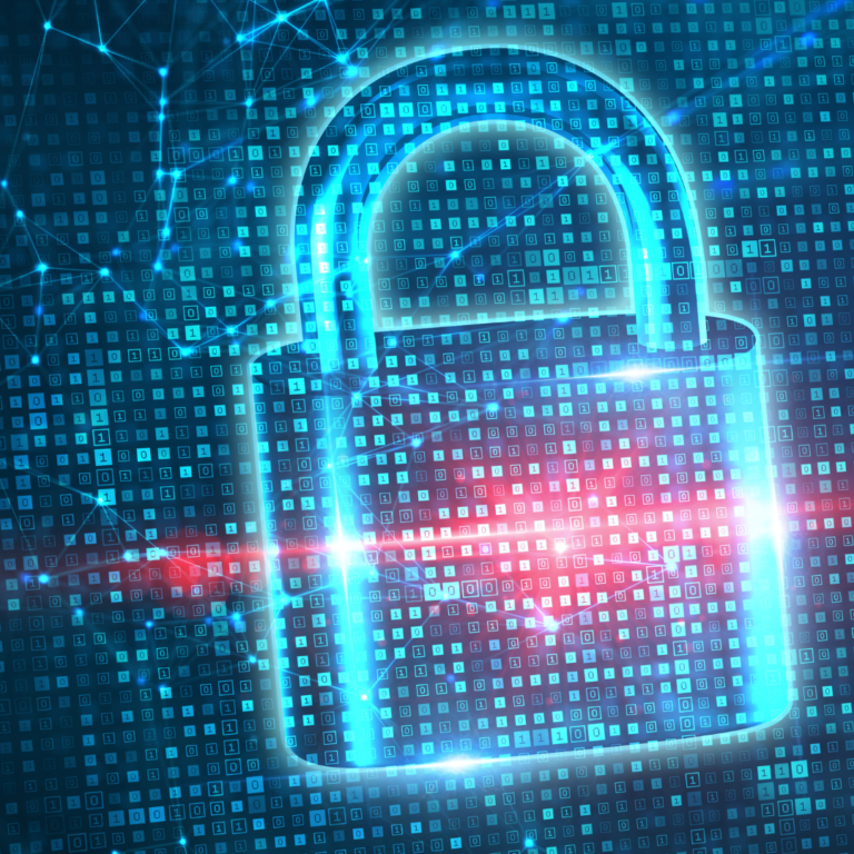 Protecting Your Privacy: Understanding Nominee Services for Business Owners